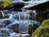 Ein Glas Wasser steht in einem klaren Bachlauf zwischen Steinen und Moos. Aus einem darüber liegenden Stein fließt frisches Wasser direkt ins Glas. Umgeben von Natur mit nassem Gestein und grünem Moos.